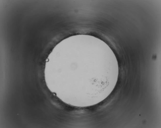 X0000102480307200808081039