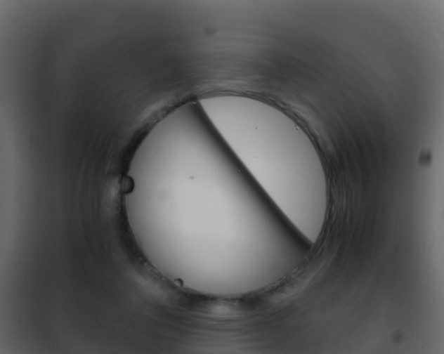 X0000102480308200808081039