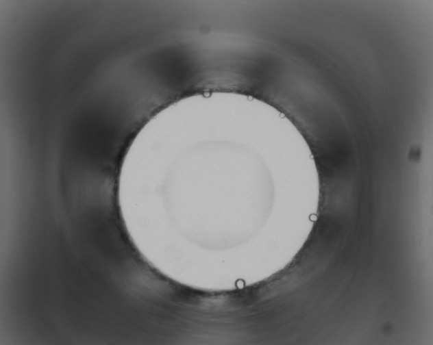 X0000102480309200808081039