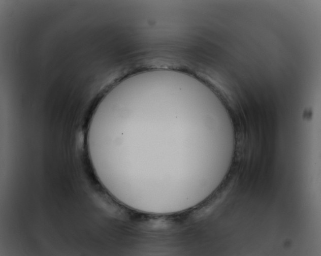 X0000102480310200808081039