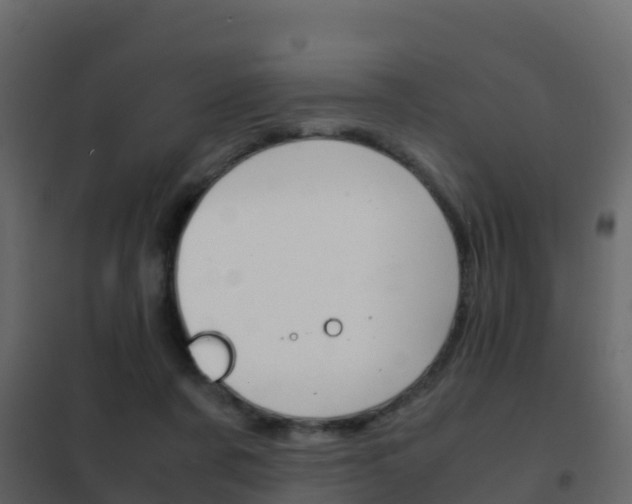 X0000102480311200808081039