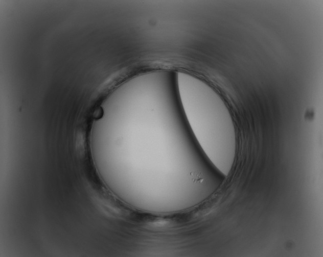 X0000102480312200808081038