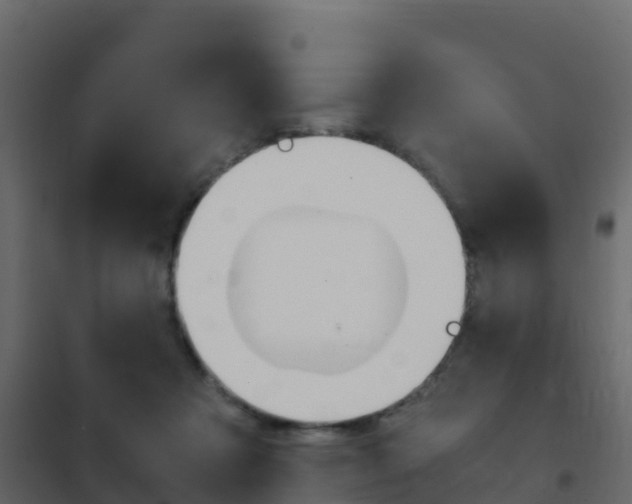 X0000102480313200808081038