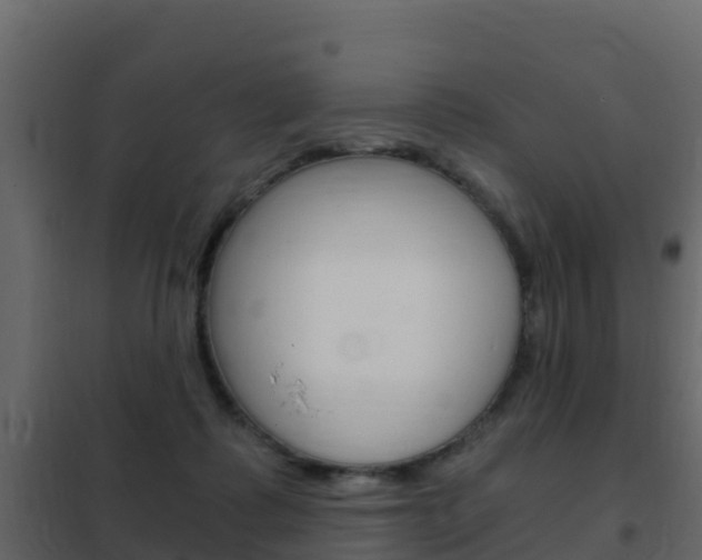 X0000102480315200808081038