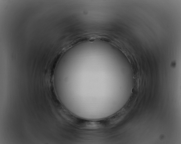 X0000102480316200808081038