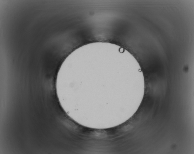 X0000102480317200808081038