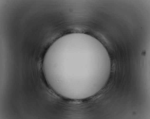 X0000102480318200808081038