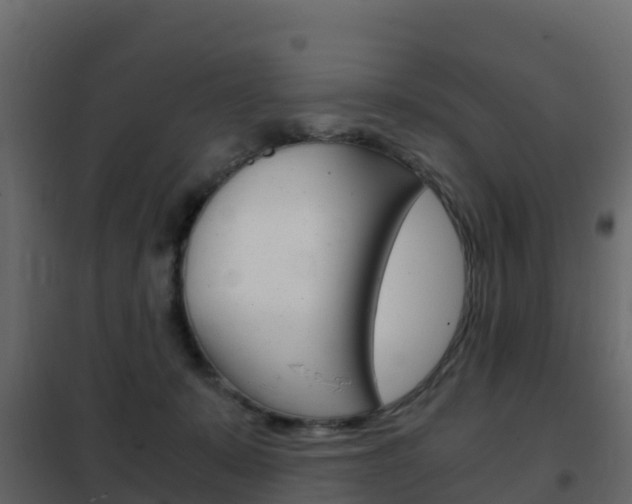 X0000102480319200808081038