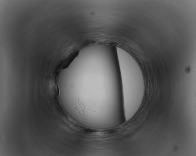 X0000102480320200808081038