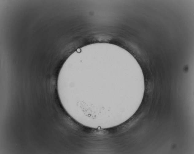 X0000102480321200808081038