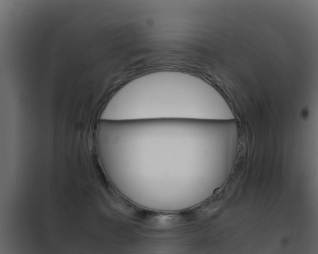 X0000102480323200808081038