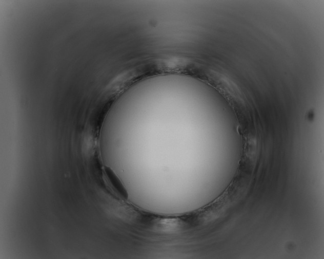 X0000102480324200808081038