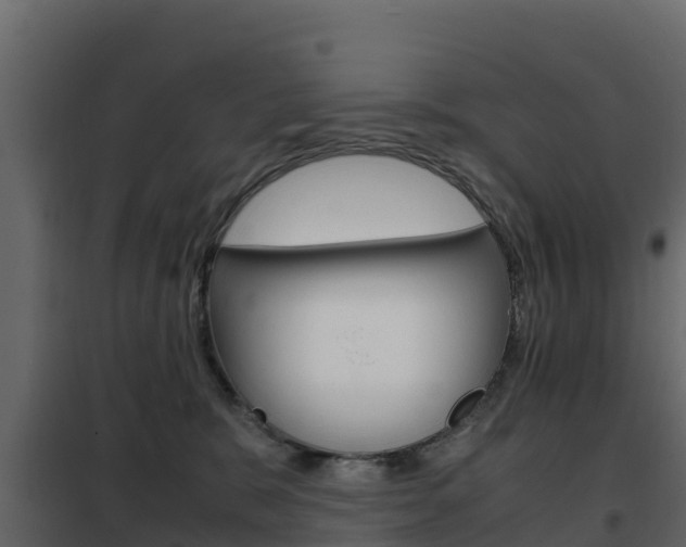 X0000102480327200808081038