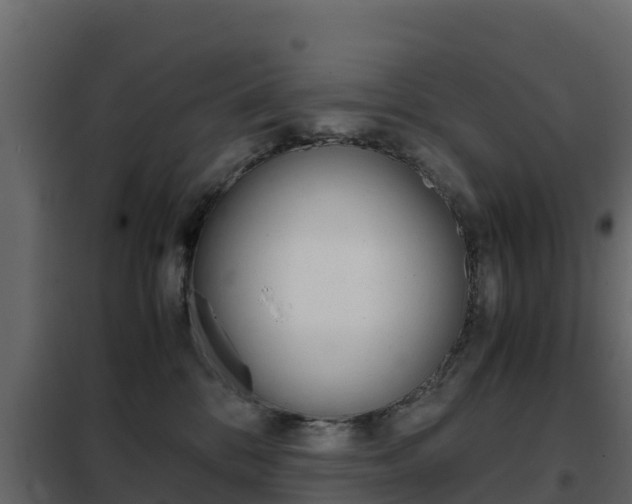 X0000102480328200808081038