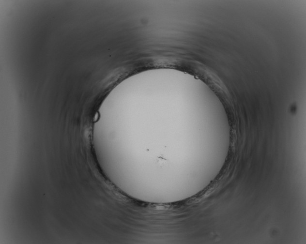 X0000102480329200808081038