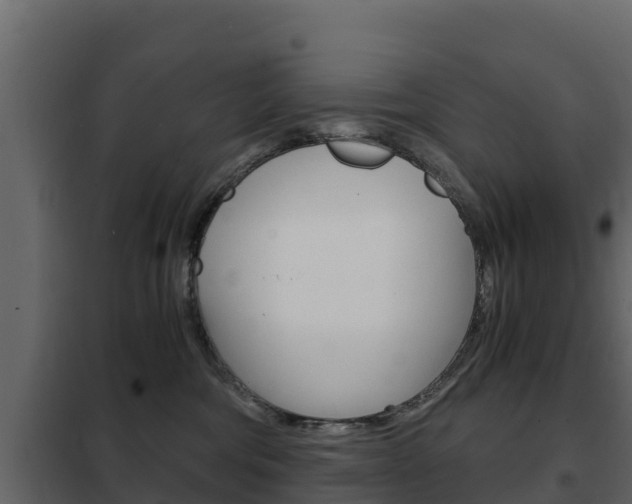 X0000102480330200808081038