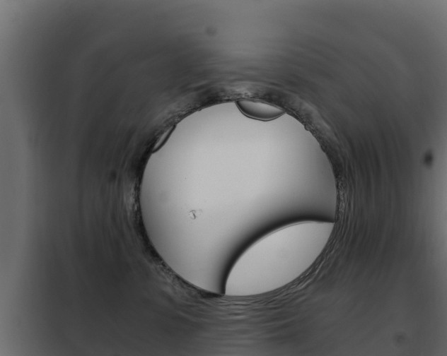 X0000102480331200808081038