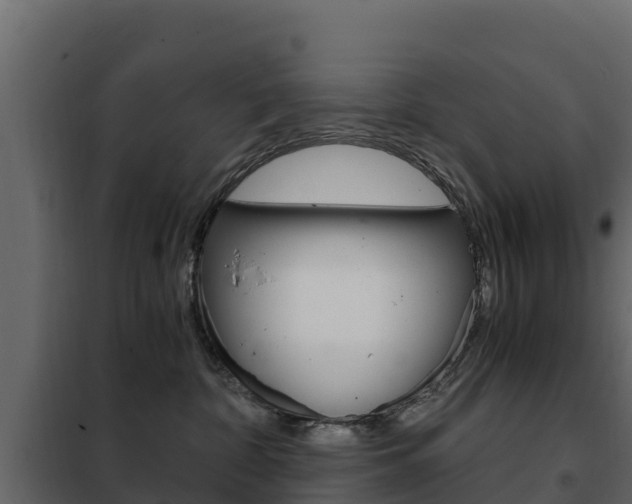 X0000102480332200808081038