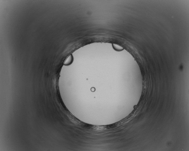 X0000102480333200808081038