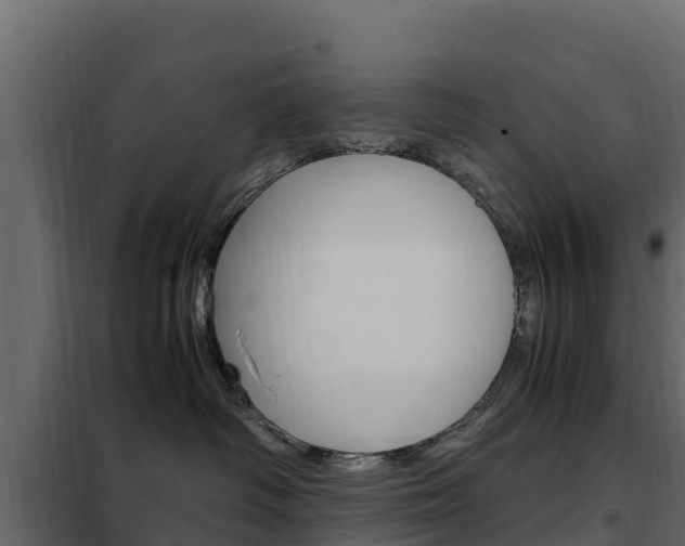X0000102480334200808081038