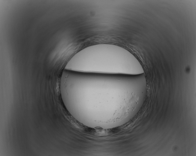 X0000102480335200808081038