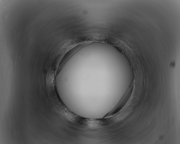 X0000102480336200808081038
