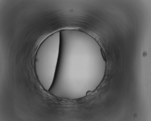 X0000102480337200808081037
