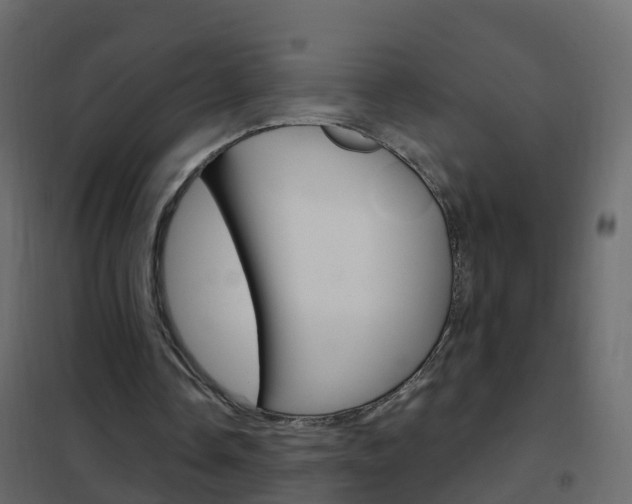 X0000102480338200808081037