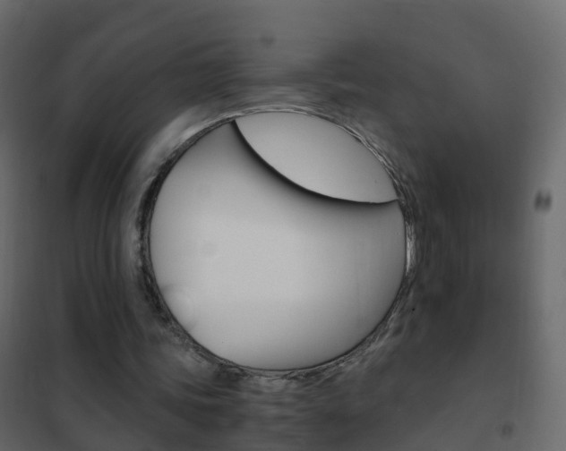 X0000102480339200808081037