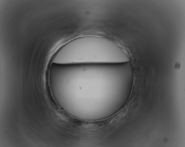 X0000102480340200808081037