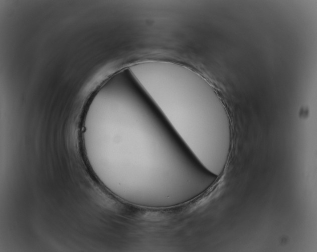 X0000102480341200808081037