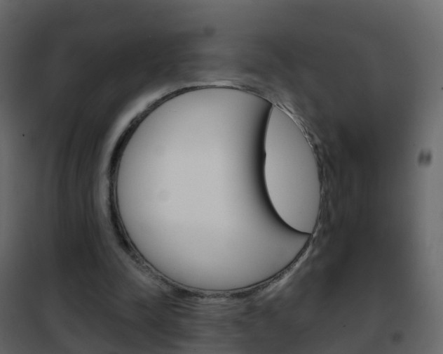 X0000102480342200808081037