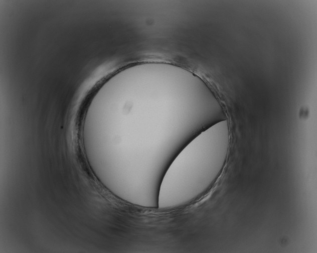 X0000102480343200808081037