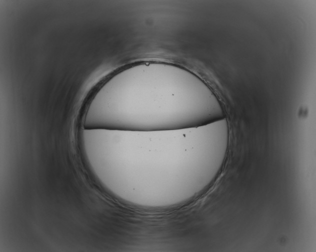 X0000102480344200808081037