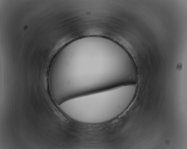 X0000102480345200808081037