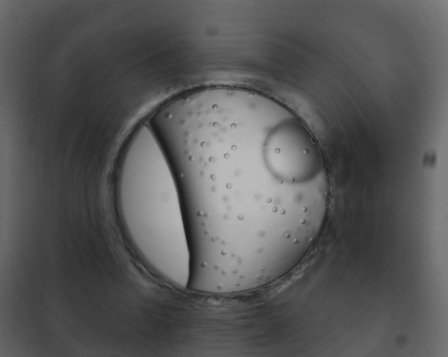 X0000102480346200808081037