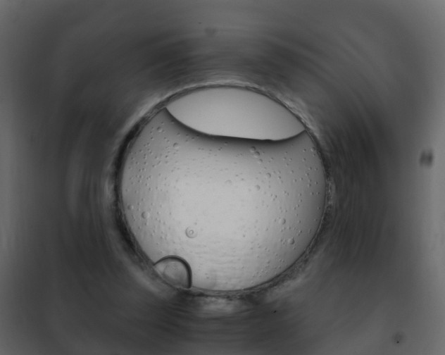 X0000102480347200808081037