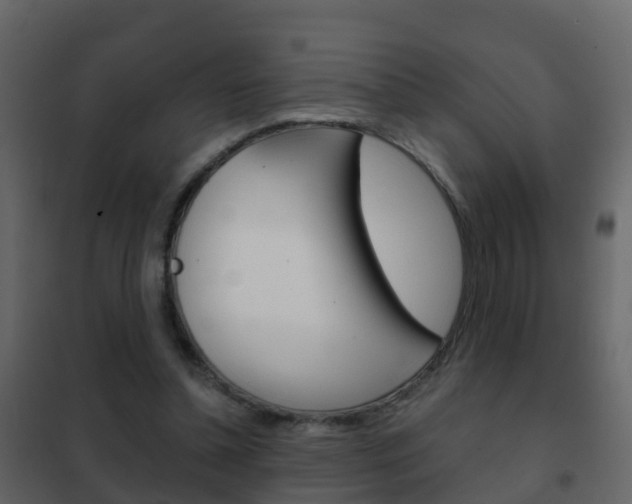 X0000102480348200808081037