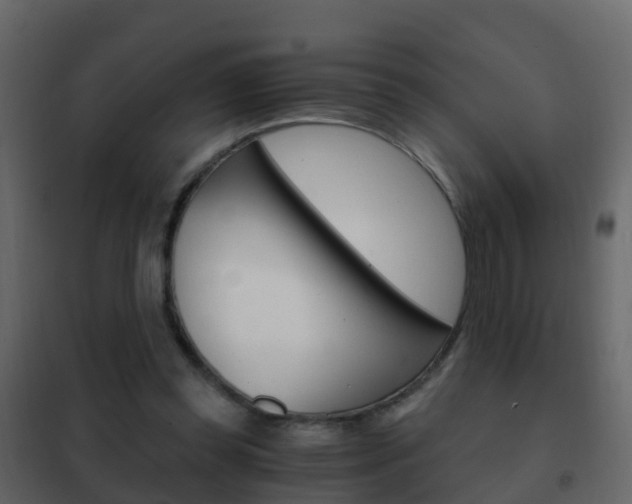 X0000102480349200808081037