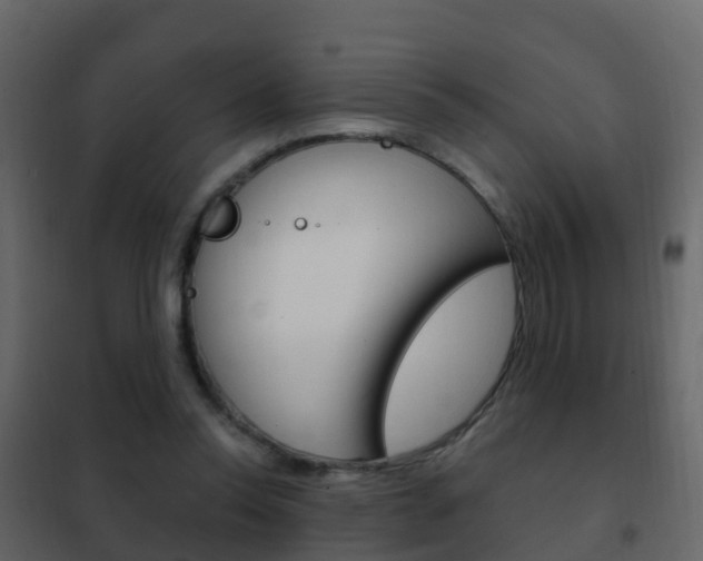 X0000102480350200808081038