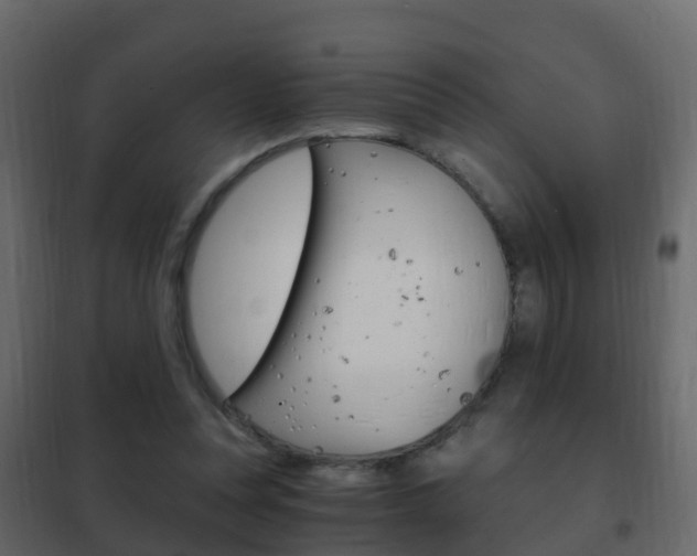 X0000102480351200808081038