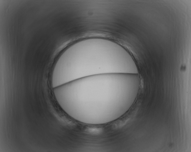 X0000102480352200808081038
