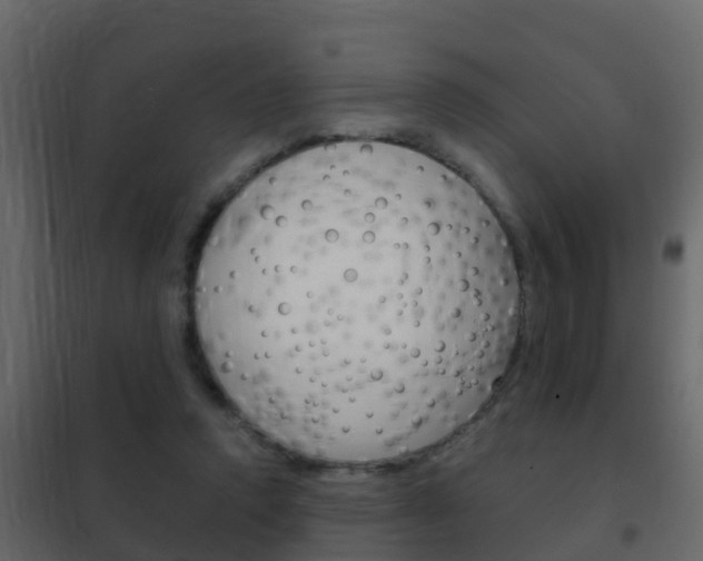 X0000102480354200808081038