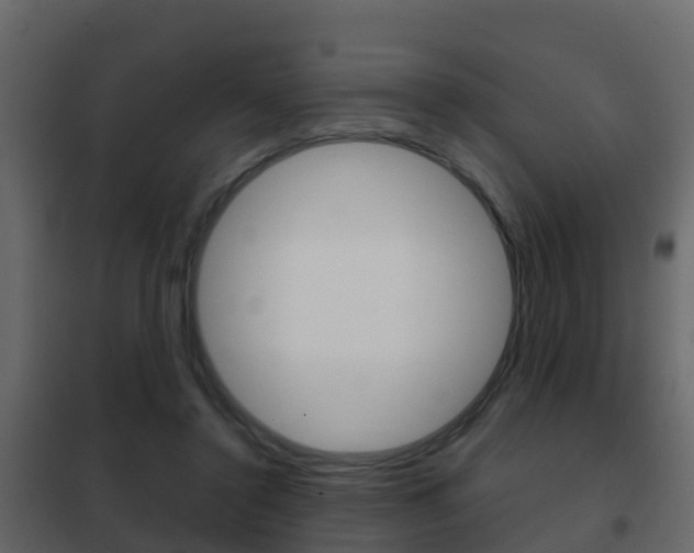 X0000102480356200808081038