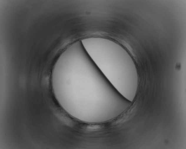 X0000102480357200808081038