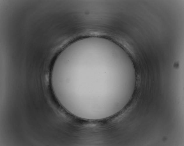 X0000102480358200808081038