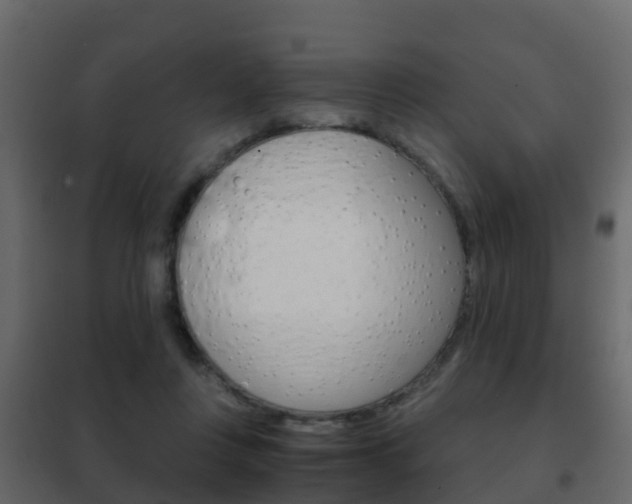 X0000102480359200808081038