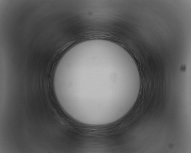 X0000102480360200808081038