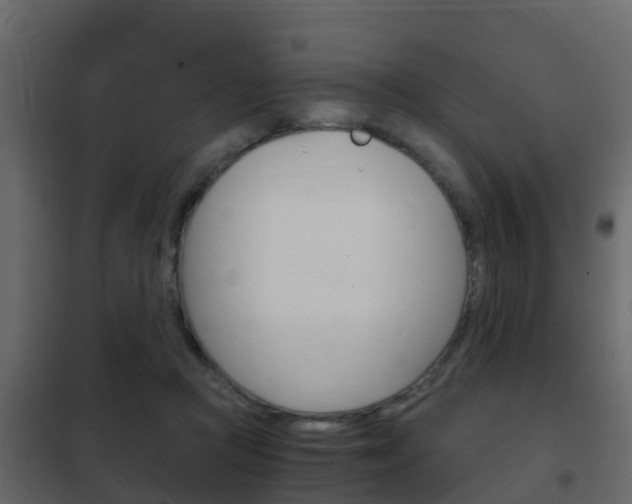 X0000102480361200808081038