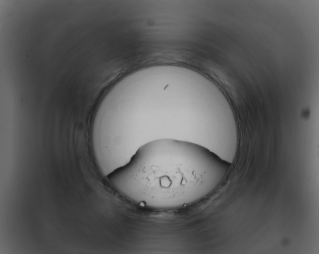 X0000102480362200808081038
